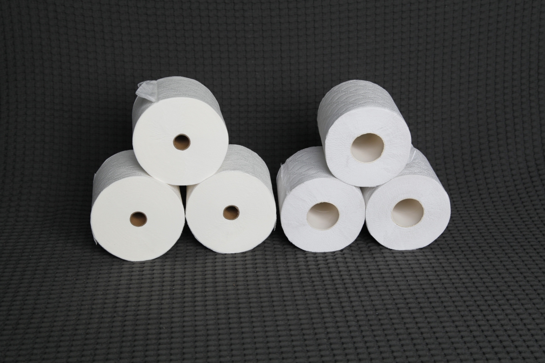 Premium Toilet Paper Rolls